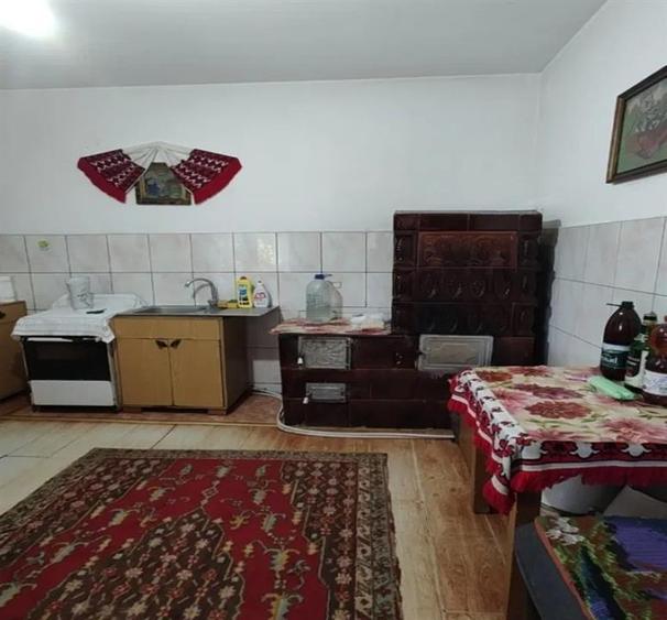 Casa P+M cu teren generos si loturi suplimentare in Baia de Cris