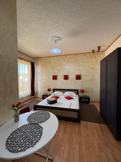 Apartament de închiriat, 1 cameră, 40 mp, Borhanci zona Romul Ladea