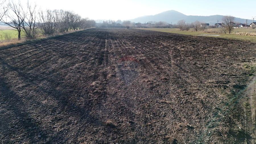 Teren extravilan cu potențial ridicat | Rezidential/Industrial Hărman