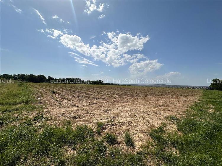 Teren langa padure pentru casa, Cercu, Barnova, de la 500mp la 4000mp - 2