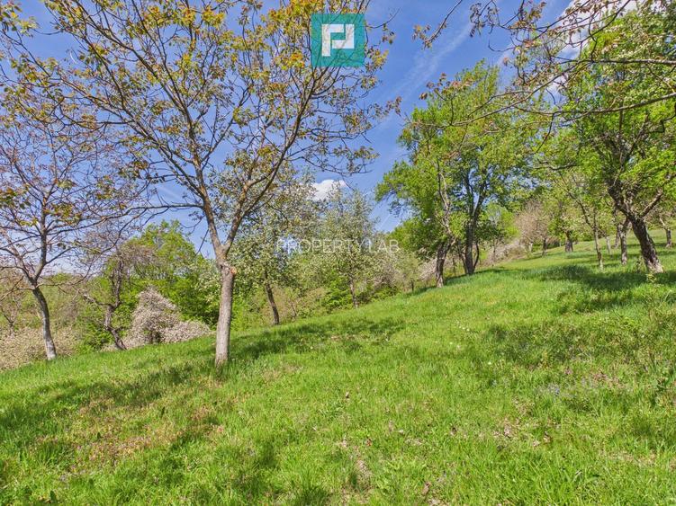 Proprietate rară cu 24.270 mp, în Măgulicea, Arad!