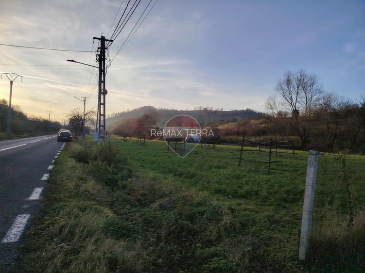 Teren intravilan-2.600 mp în Bârsana | 100 ml deschidere | Comision 0 - 3