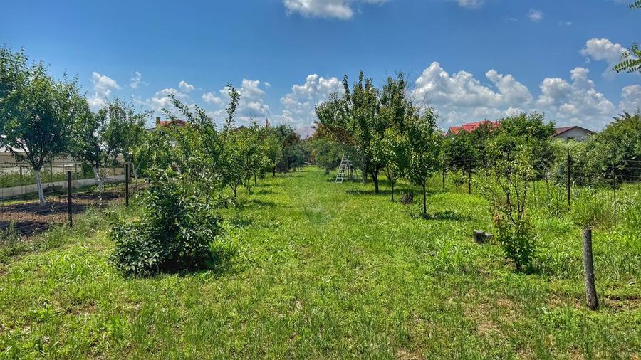 Casă batraneasca cu 3 camere-Oportunitate de Investiție in Domnesti
