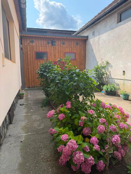 Casă individuală de vânzare în cartierul Lazaret – gata de mutare!