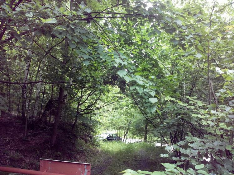 Proprietate rară în inima Retezatului – 5.700 mp teren intravilan