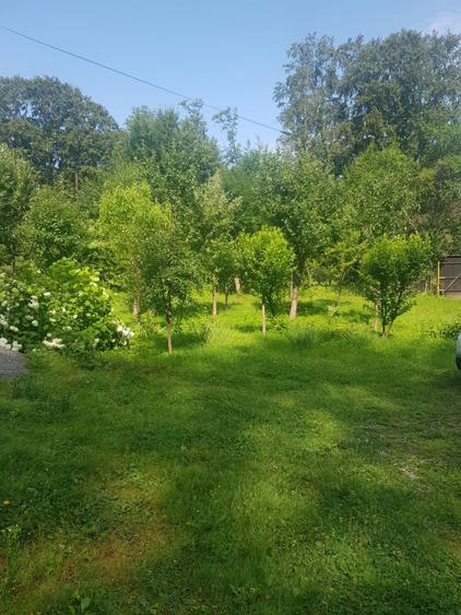 Cabana 4 camere zona Valea Avrigului