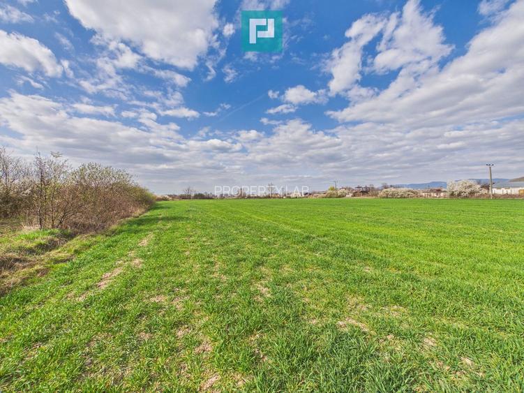Teren extravilan, 1 ha, în orașul Sebiș, Arad - 9