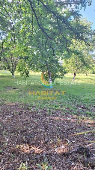 Vanzare casa noua individuala 230 mp Parcul Tineretului - 4