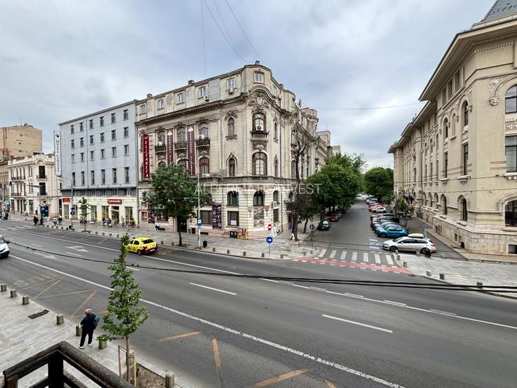 Inchiriere apartament cu 4 camere cu vedere in  Parcul Cismigiu - 23