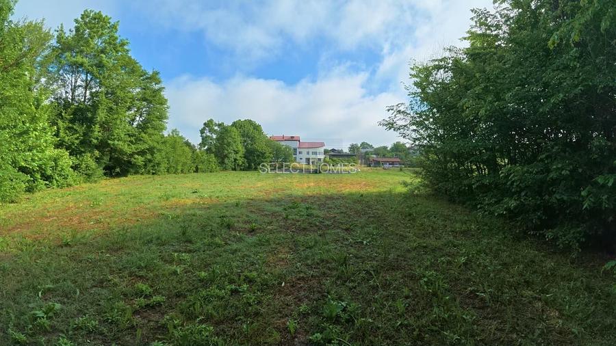 Domeniu de 13.054 mp cu vilă de ~1.000mpc și lac privat Teisori, Bulbucata - 6
