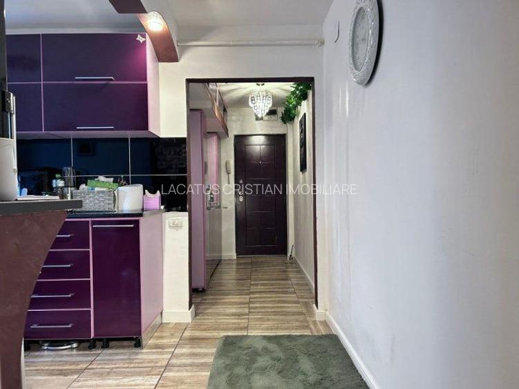 APARTAMENT 2 CAMERE SEMIDECOMANDAT LUX ZONA KM 4-5 - 5