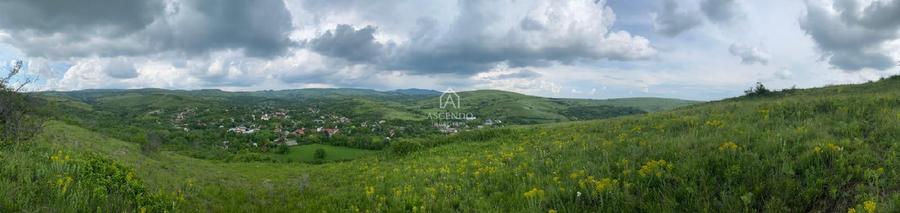 Domeniu 15.900 mp în Fințești | Casă + Investiție Dealu Mare