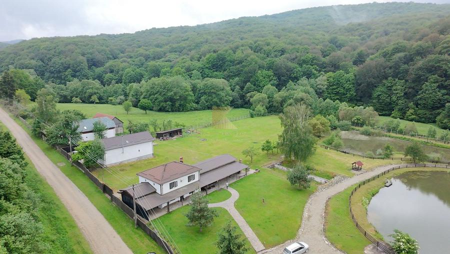 Complex turistic și proprietate deosebită de vânzare în Valea Dobârlău
