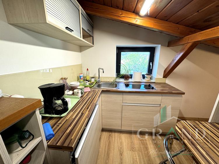 Hală multifuncțională+spații administrative/de locuit 558mp | Iris–Piața 1 Mai - 40