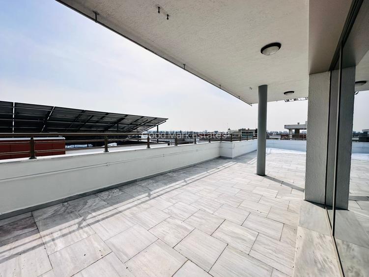 INCHIRIERE vila Baneasa || ponton privat || piscina naturala - 27