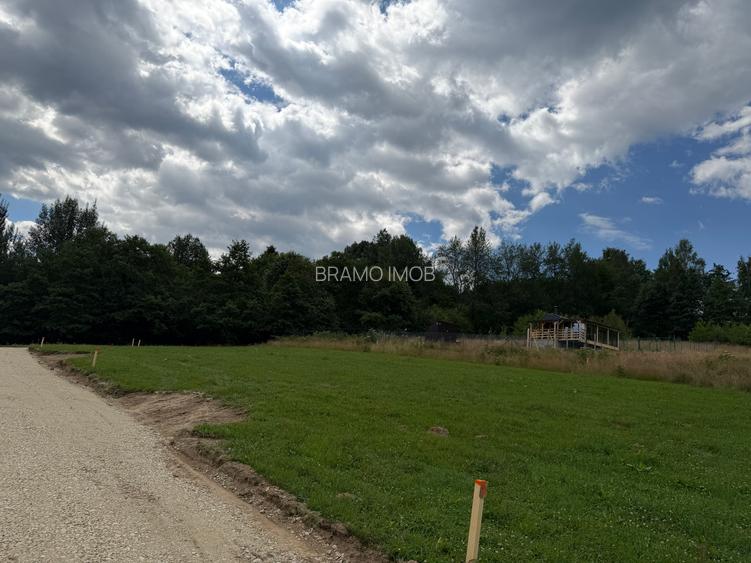 Teren intravilan  1000 mp zona Bran-Tohanita,langa padurela 10 km de Rasnov - 17