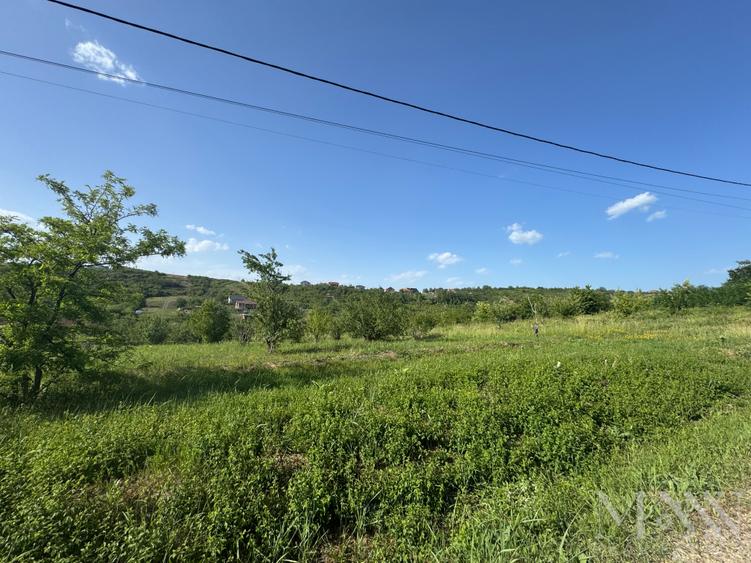 Teren intravilan de vanzare | zona Dealuri Oradea - str. Livezilor