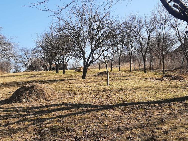 Teren de vanzare in Turda