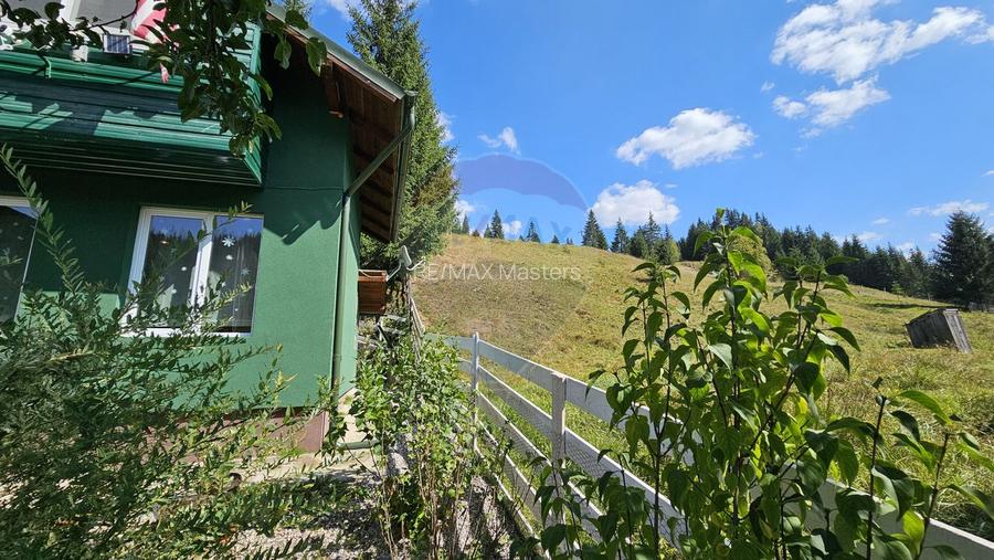 Casă / Vilă de vacanta in Dorna Arini, Suceava - 36