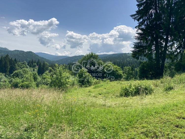 Vand teren intravilan Predeal, Timisul de Sus ideal obiective turistice - 4