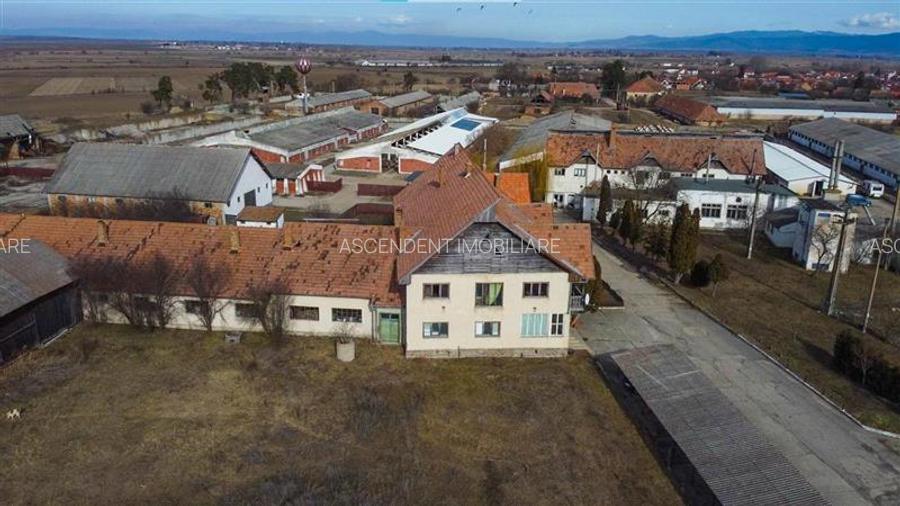 Ansamblu agrozootehnic cu renume,dotat +valoare exceptionala+potential versatil, - 26