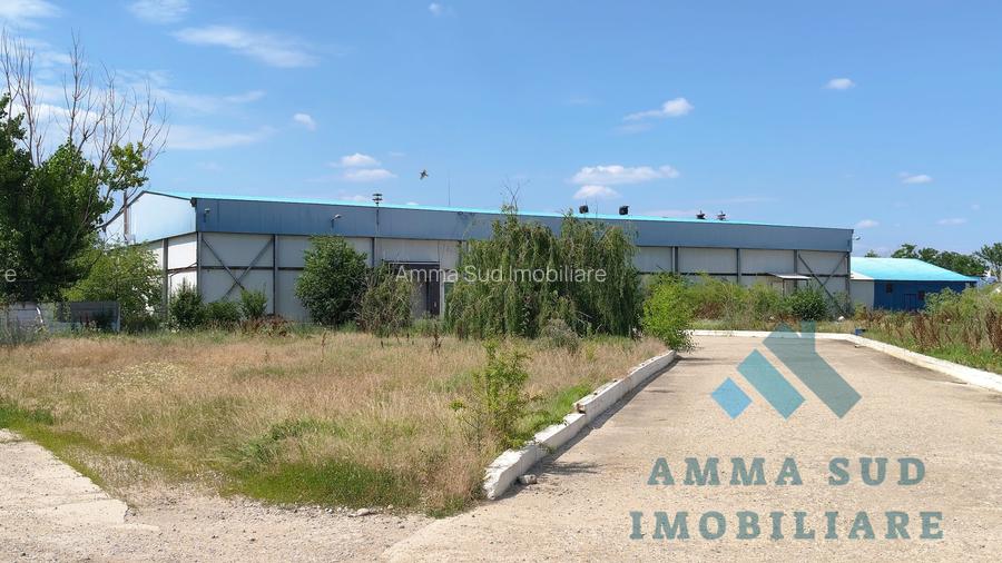 Hala Productie Abator - 1.000 mp - 5.000 mp teren - Sos. Oltenitei DN4 - 2