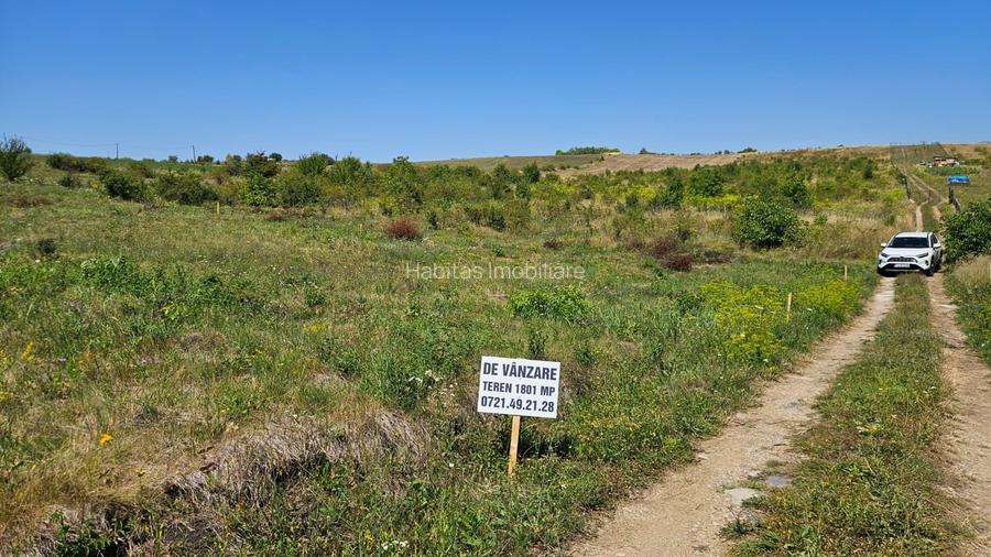 Teren 1.801mp autorizabil pentru constructie casa in Borhanci - 9