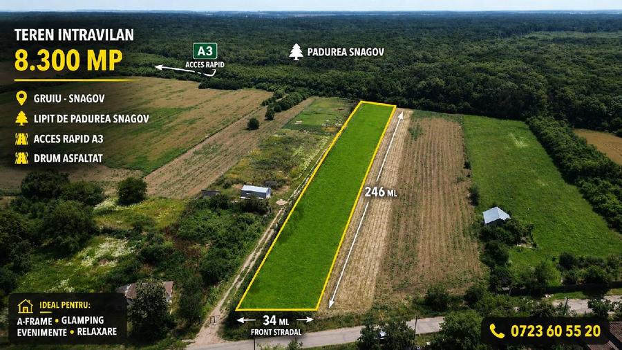 OCAZIE - Teren Intravilan - 8300 mp, Gruiu - Padurea Snagov
