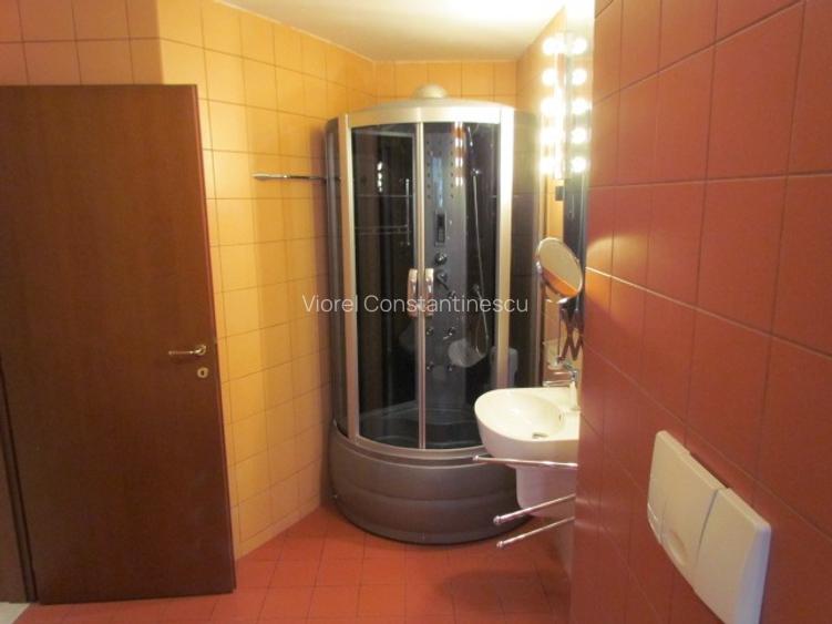 APARTAMENT AVIATORILOR 37 - 10