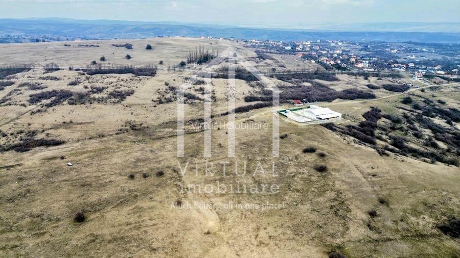 Teren de vanzare in Sibiu 67.500 mp, extravilan, Dealul Daii - 6