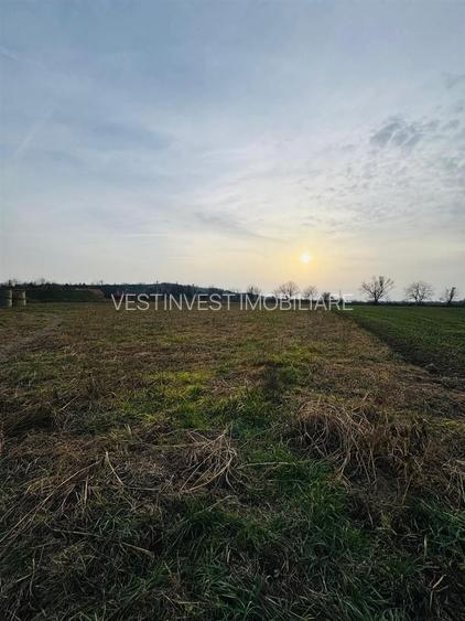 Teren intravilan 7620 mp la intrare in Diosig - 2