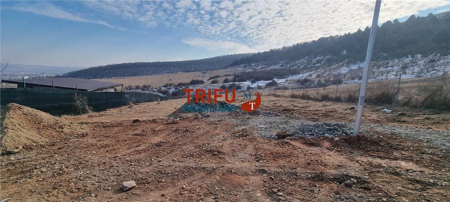 Teren intravilan 1020 mp de vanzare zona Alba Micesti spre padure cu utilitati
