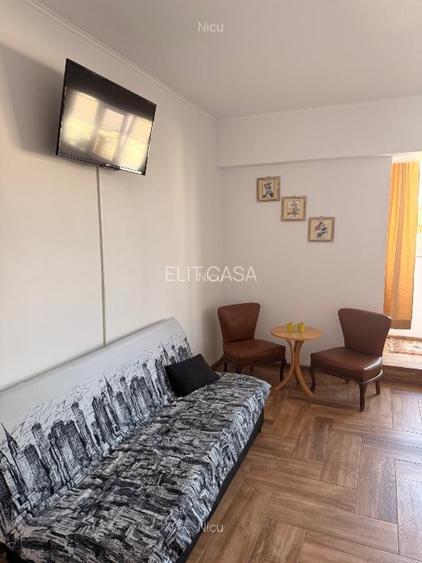 Apartament 1 camera, zona Alexandru - Minerva - 2