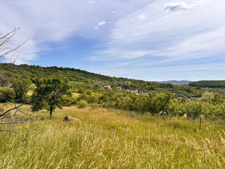 Oportunitate investiție! Teren 2.200 mp, Valea Budacului - 2