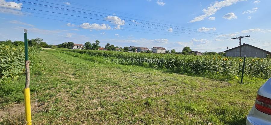 Vând teren intravilan situat în Moara Vlăsiei, Strada Berzei, cu suprafața de 10 - 8