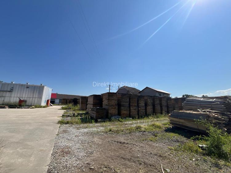 Fabrică de cherestea complet utilată & centru logistic - 4
