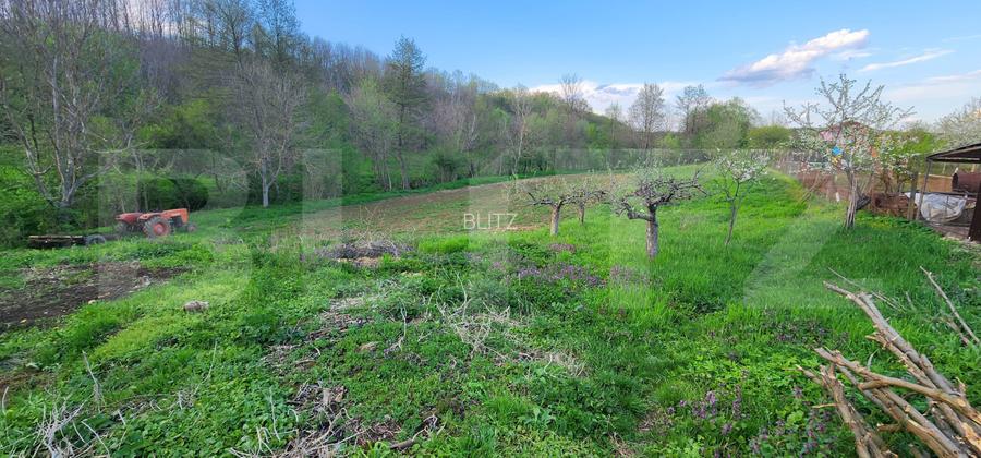 Teren 6650 mp, cu casa nefinalizata de 111 mp, in Nisipoasa. - 11