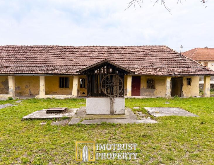 Castel de vânzare în Conop | 651 mp | 24 camere | 2.655 mp