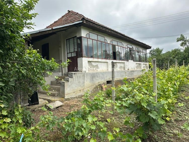Amarasti Nemoiu in apropiere de Dragasani si Valcea - 10