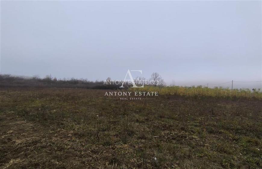 Antony Estate | Vanzare Teren Intravilan,40 euro/mp,Paleu,Oradea - 3