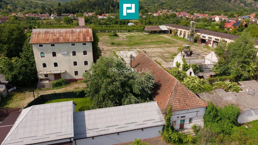 Hală spațioasă în Lipova oportunitate investiție - 28