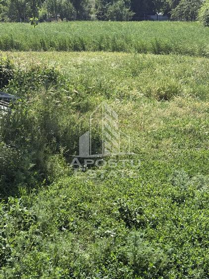 Casă veche în Bazos cu teren 1439 mp