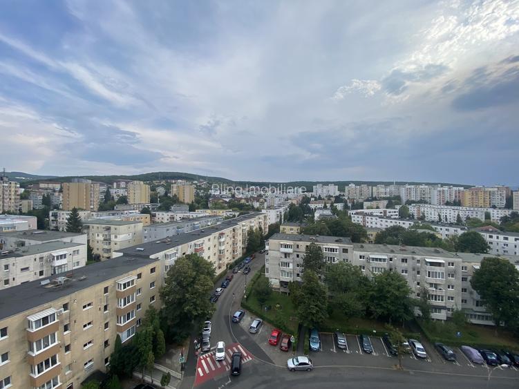 Apaartament de vanzare, 2 camere decomandat, Zona Big - 8