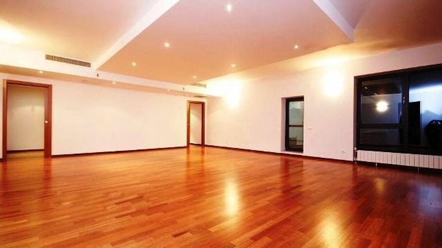 Apartament nemobilat Herastrau