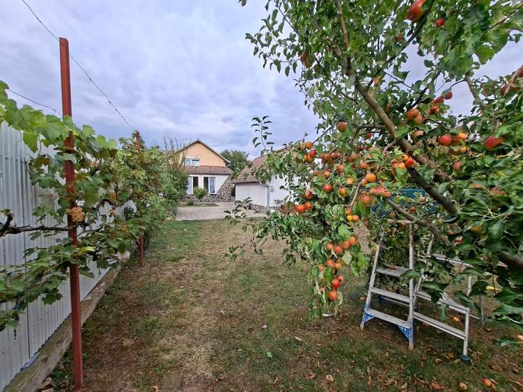 Casa cu etaj 113 mp utili curte libera 350mp garaj cu pod Gusterita