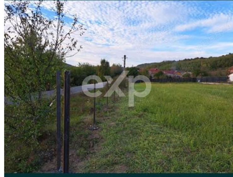 Teren intravilan 1.000 mp | Băbana | Stradal | Asfalt | Utilități la limită