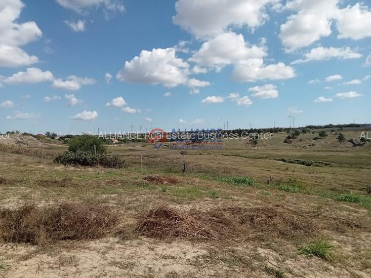 Teren intravilan 4.000 mp - Gradina, jud. Constanta