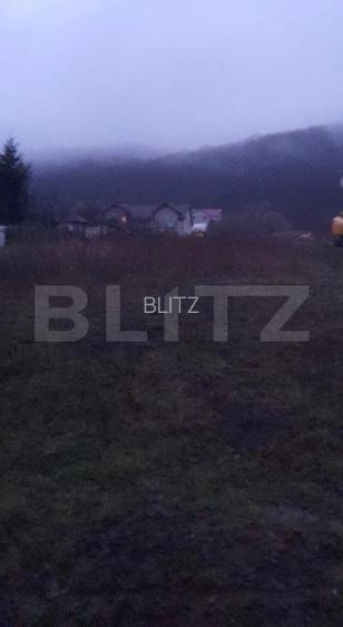 Teren 5000.00 Pe Valea Ghinzi Parcelabil - 2