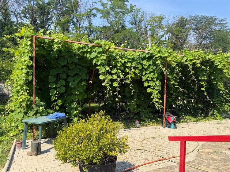 Casa din lemn masiv | 3 camere | Teren 5.000mp -Berceni Prahova