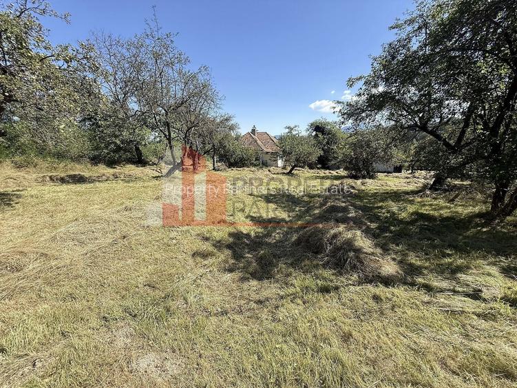 Teren 4558 mp cu casă tradițională, Sohodol, Bran - 9